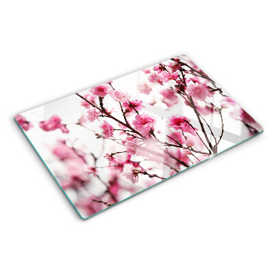Planche à découper verre Fleurs de cerisier en fleurs