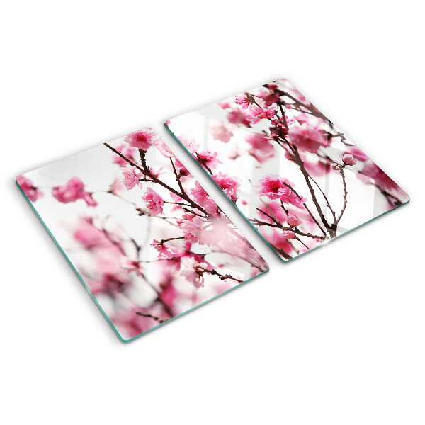 Planche à découper verre Fleurs de cerisier en fleurs