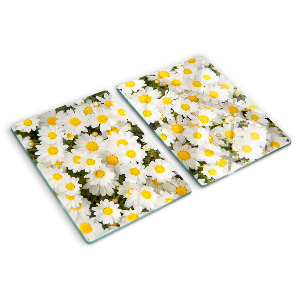 Planche à découper verre Marguerites sur fond blanc