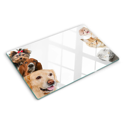 Planche à découper en verre Chiens et chats dans différentes poses