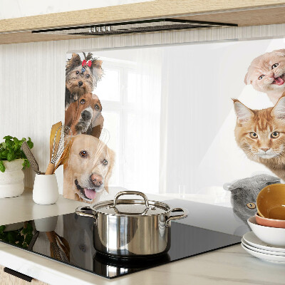 Planche à découper en verre Chiens et chats dans différentes poses