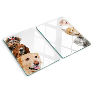 Planche à découper en verre Chiens et chats dans différentes poses