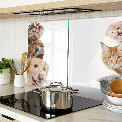 Planche à découper en verre Chiens et chats dans différentes poses