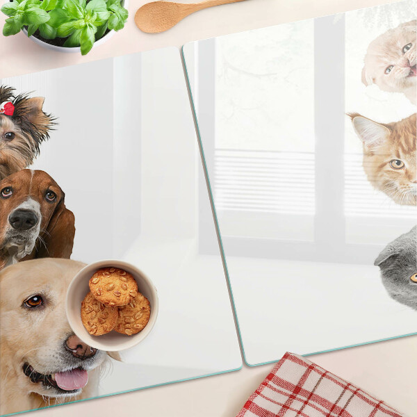 Planche à découper en verre Chiens et chats dans différentes poses