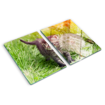 Planche à découper en verre Chat sur l'herbe