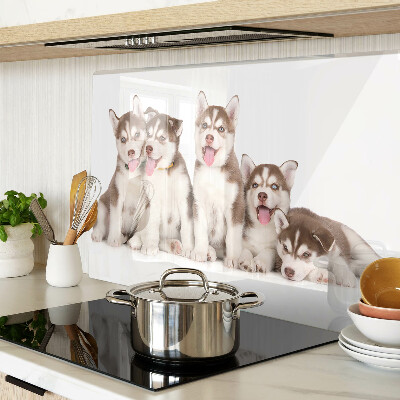Planche à découper verre Chiots Husky