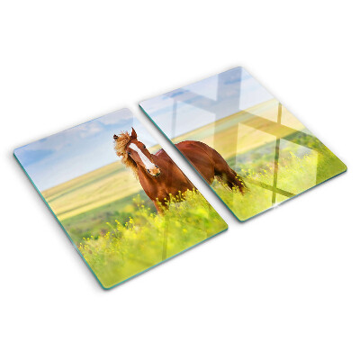 Planche à découper en verre Un cheval dans le pré