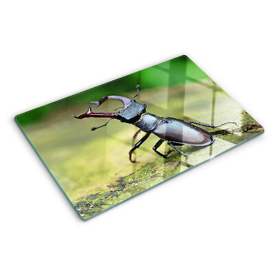Planche à découper verre Lucane cerf-volant sur fond vert