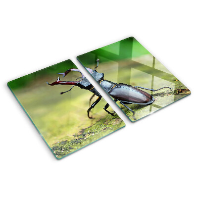 Planche à découper verre Lucane cerf-volant sur fond vert