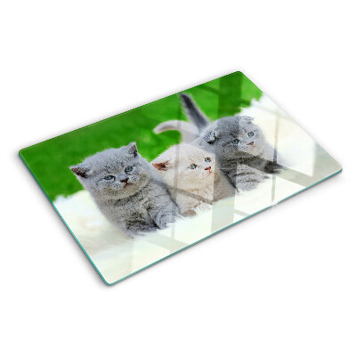 Planche à découper verre Chatons sur fond vert