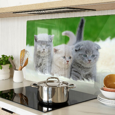 Planche à découper verre Chatons sur fond vert