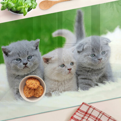 Planche à découper verre Chatons sur fond vert
