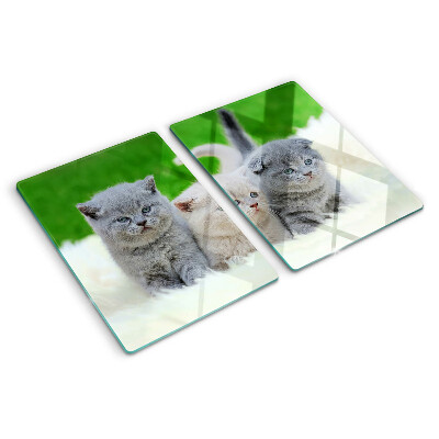 Planche à découper verre Chatons sur fond vert