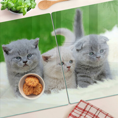 Planche à découper verre Chatons sur fond vert