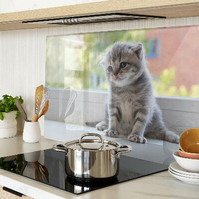 Planche à découper en verre Un chaton sur le rebord de la fenêtre