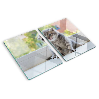 Planche à découper en verre Un chaton sur le rebord de la fenêtre