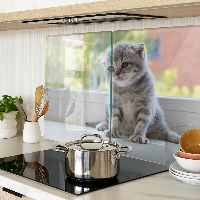 Planche à découper en verre Un chaton sur le rebord de la fenêtre
