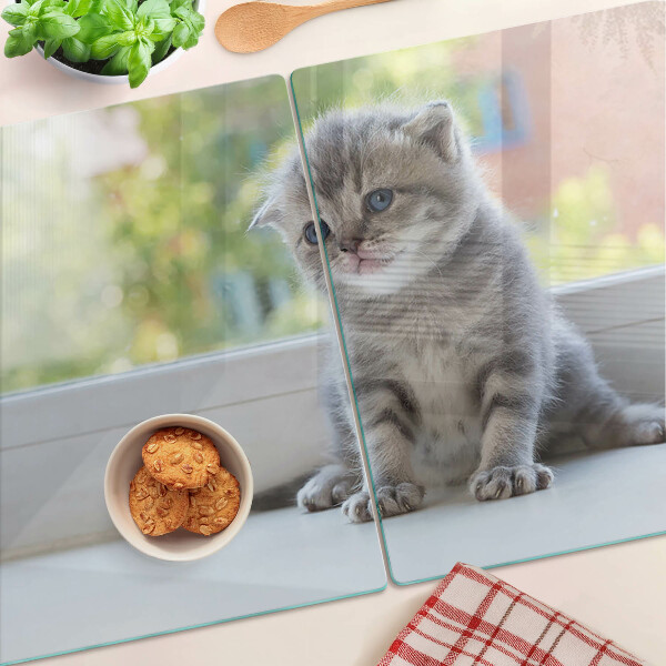 Planche à découper en verre Un chaton sur le rebord de la fenêtre