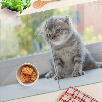 Planche à découper en verre Un chaton sur le rebord de la fenêtre