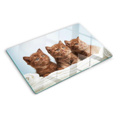 Planche à découper en verre Trois chats bruns