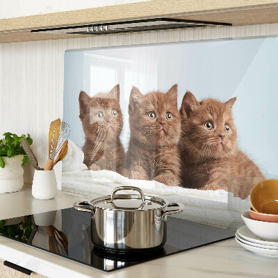 Planche à découper en verre Trois chats bruns