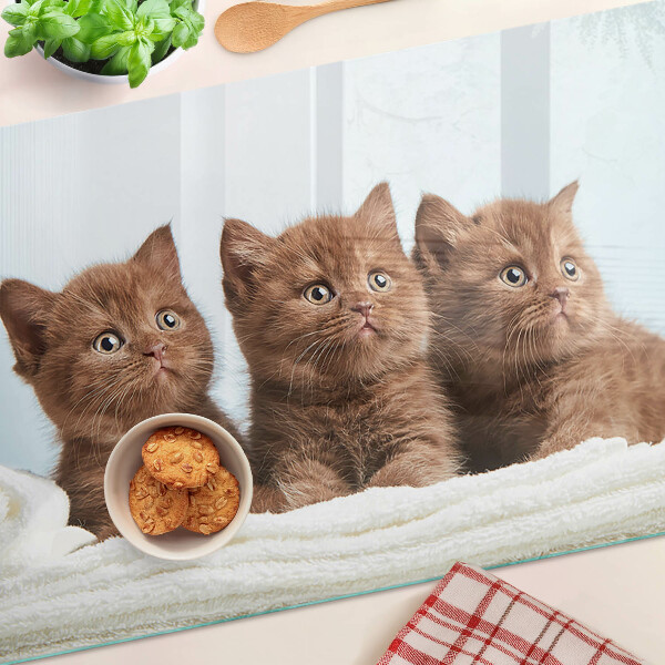 Planche à découper en verre Trois chats bruns