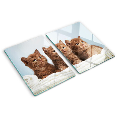 Planche à découper en verre Trois chats bruns