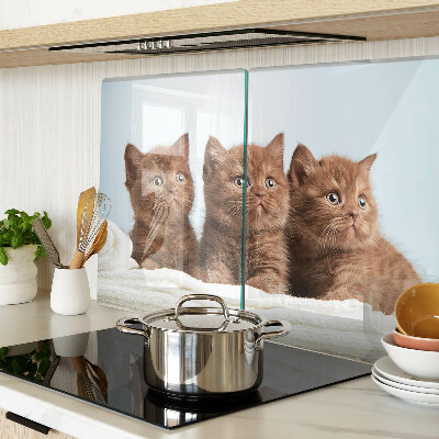 Planche à découper en verre Trois chats bruns