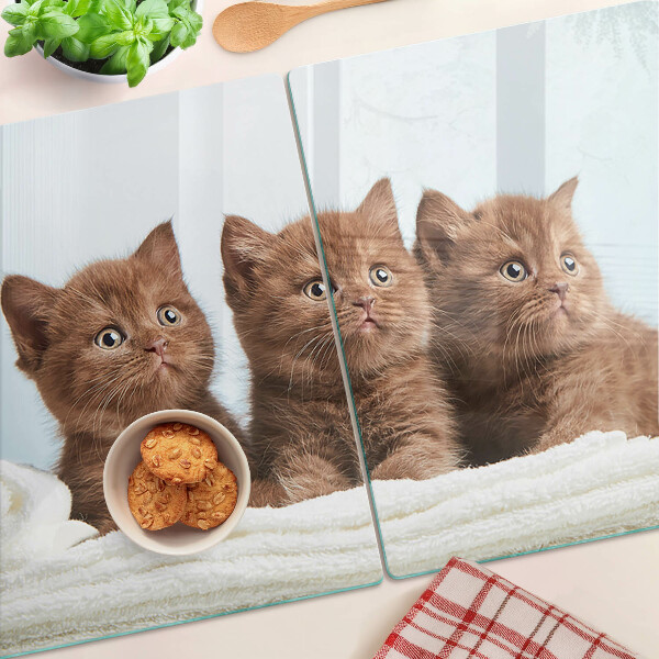 Planche à découper en verre Trois chats bruns