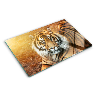 Planche à découper en verre Tigre sous les rayons du soleil