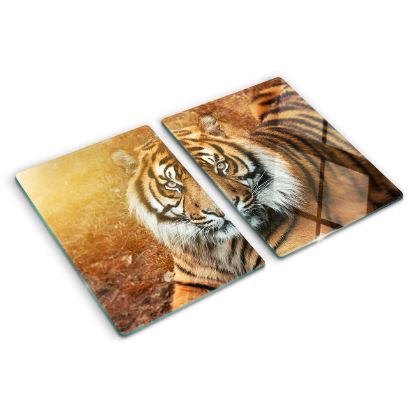 Planche à découper en verre Tigre sous les rayons du soleil