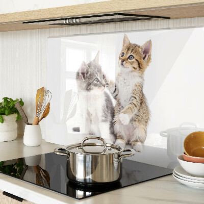 Planche à découper en verre Chats sur fond blanc