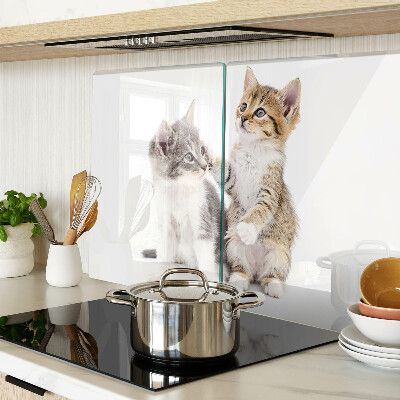 Planche à découper en verre Chats sur fond blanc