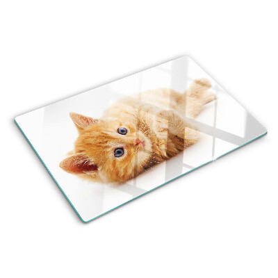 Planche à découper en verre Chaton roux sur fond blanc
