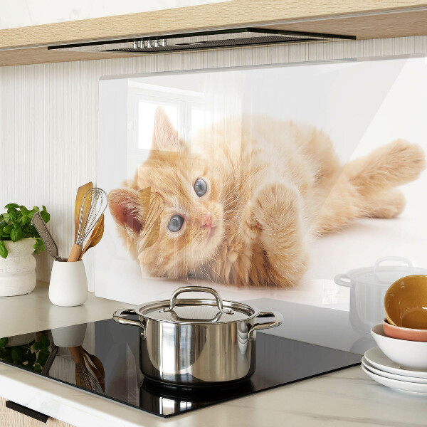 Planche à découper en verre Chaton roux sur fond blanc