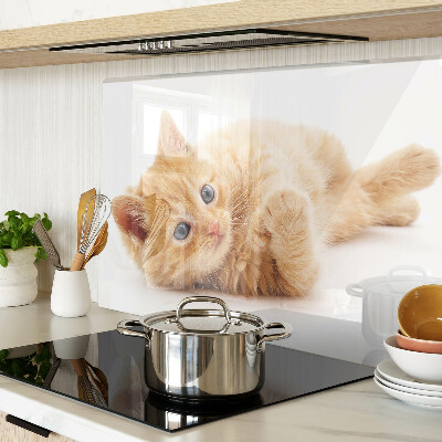 Planche à découper en verre Chaton roux sur fond blanc