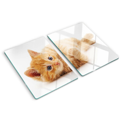 Planche à découper en verre Chaton roux sur fond blanc
