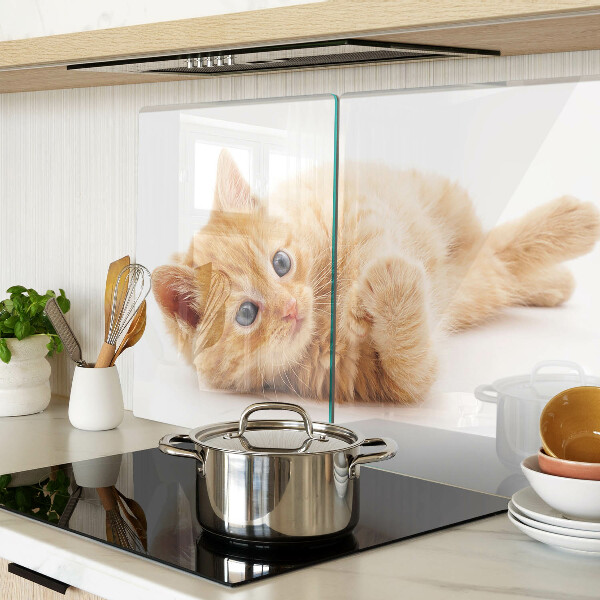 Planche à découper en verre Chaton roux sur fond blanc