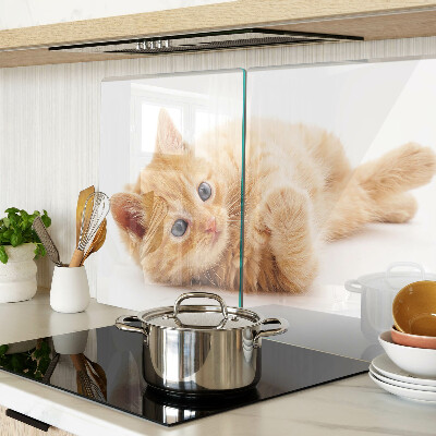 Planche à découper en verre Chaton roux sur fond blanc