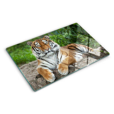 Planche à découper en verre Tigre dans son habitat naturel