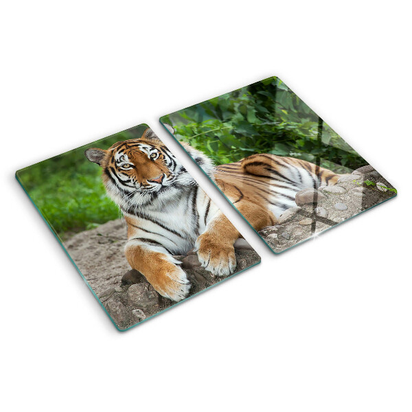 Planche à découper en verre Tigre dans son habitat naturel