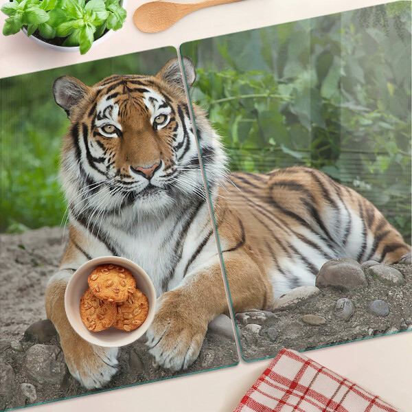 Planche à découper en verre Tigre dans son habitat naturel