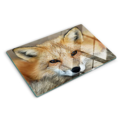 Planche à découper verre Jeune renard roux