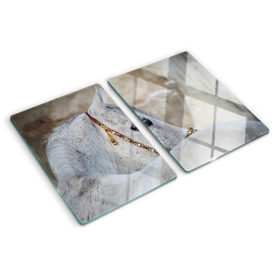 Planche à découper verre Jeune cheval blanc