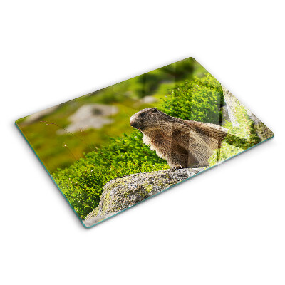 Planche à découper en verre Marmotte sur fond d'herbe verte
