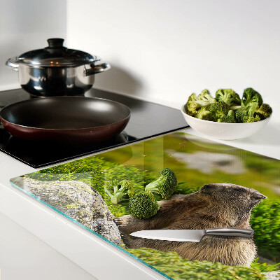 Planche à découper en verre Marmotte sur fond d'herbe verte