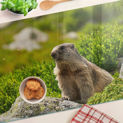Planche à découper en verre Marmotte sur fond d'herbe verte