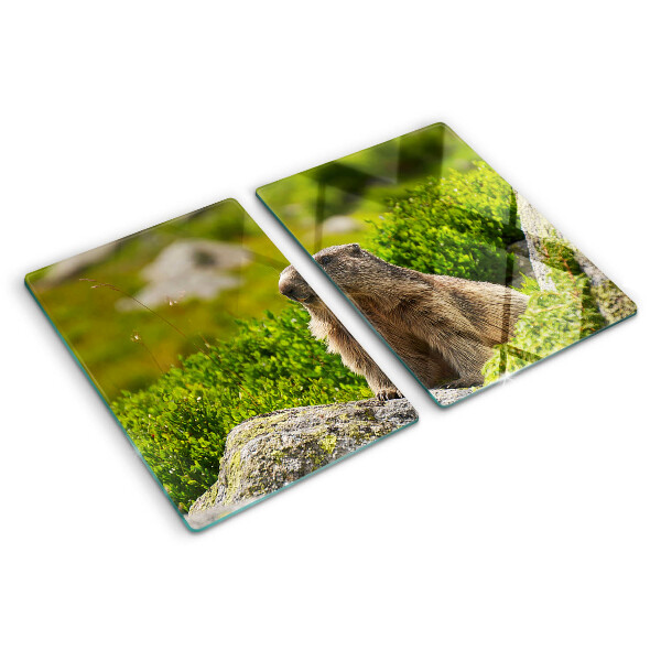 Planche à découper en verre Marmotte sur fond d'herbe verte