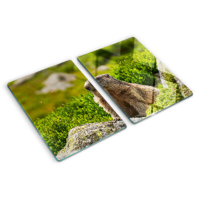 Planche à découper en verre Marmotte sur fond d'herbe verte
