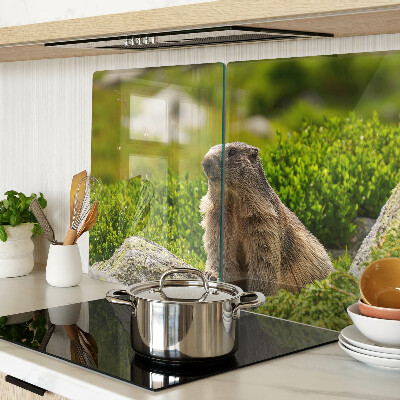 Planche à découper en verre Marmotte sur fond d'herbe verte